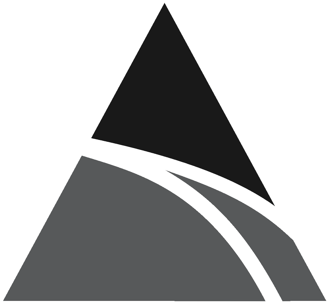 BLACK TUSK GEOPHYSICS INC logo
