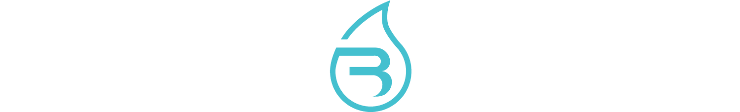 BLACK WATER CONSULTING ENGINEERS, INC. logo