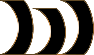 BLACK WAVE DESIGN AND DEVELOPMENT LLC logo