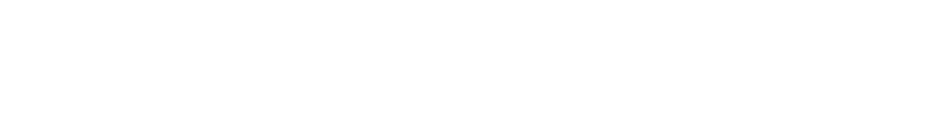 BLACK WILLOW INC. logo