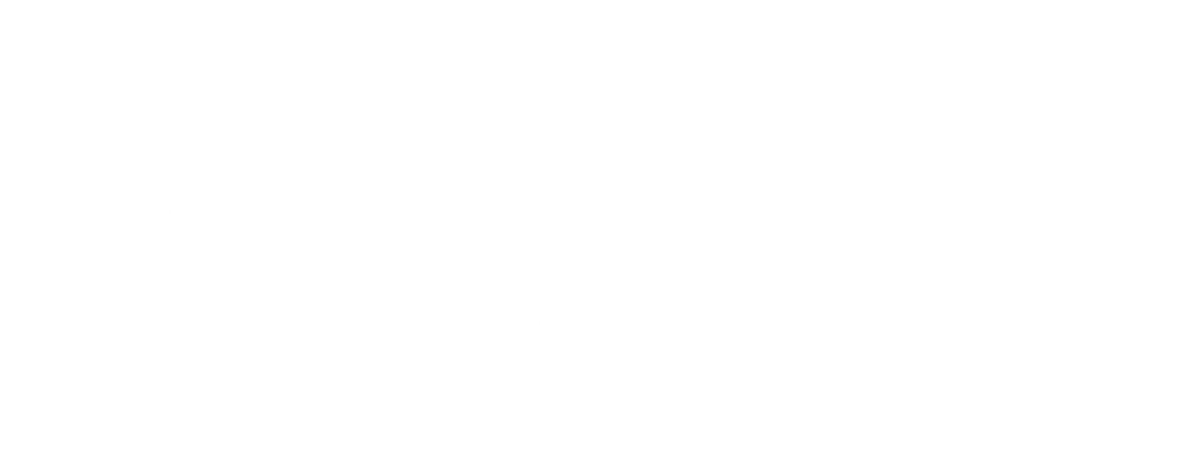 BLACKBUCK INSIGHTS LLC logo