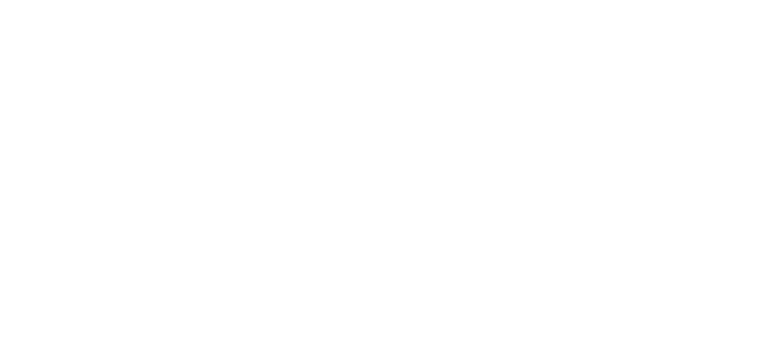 BLACKSEA TECHNOLOGIES logo
