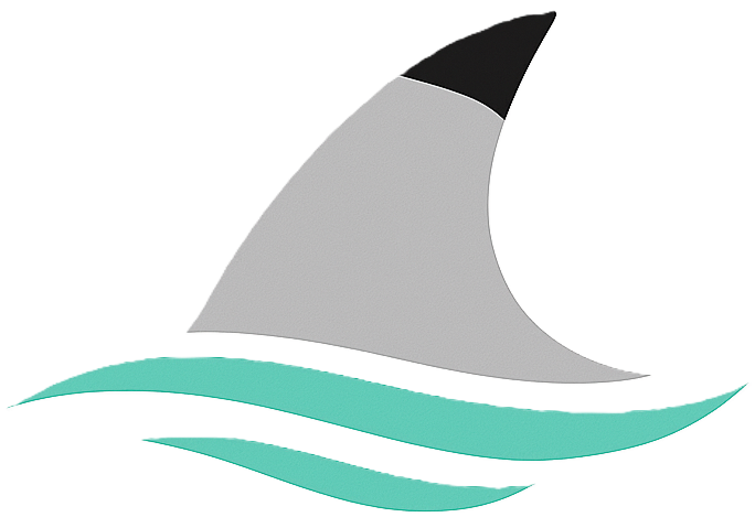 BLACKTIP SOLUTIONS, INC logo