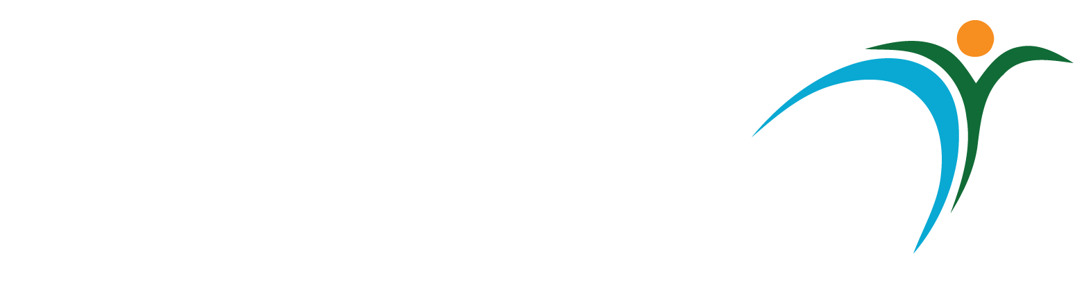 BLAKE CONSULTING LLC logo