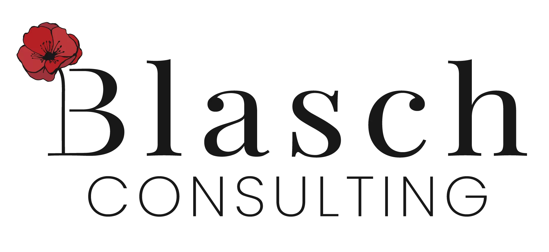BLASCH CONSULTING SERVICES & SUPPORT, LLC logo