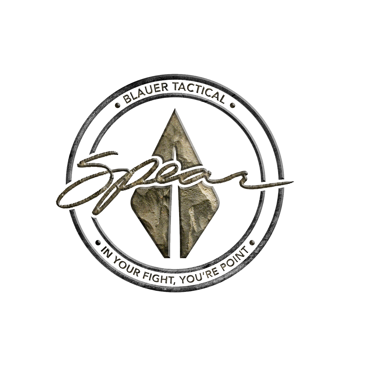 BLAUER TACTICAL SYSTEMS INC logo