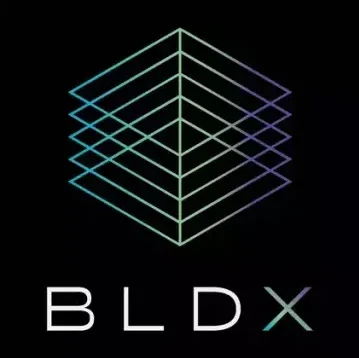 BLDX INC logo