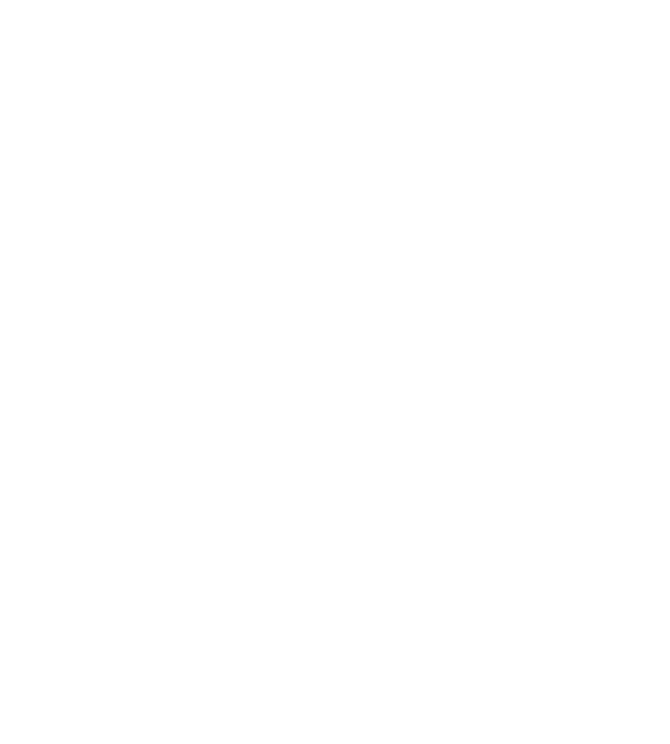 BLN FORS MARSH JV LLC logo