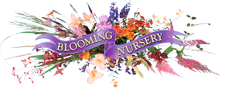 BLOOMING NURSERY INC logo