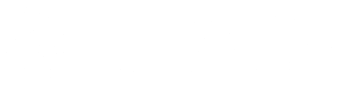 BLOSSOM CONSULTING INC logo