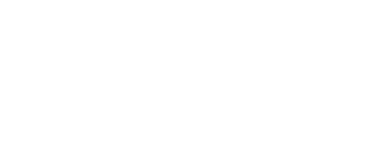 BLUBERI GAMING USA INC logo
