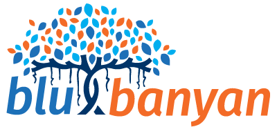 BLUE BANYAN SOLUTIONS, INC logo