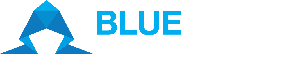 BLUE CLOAK LLC logo