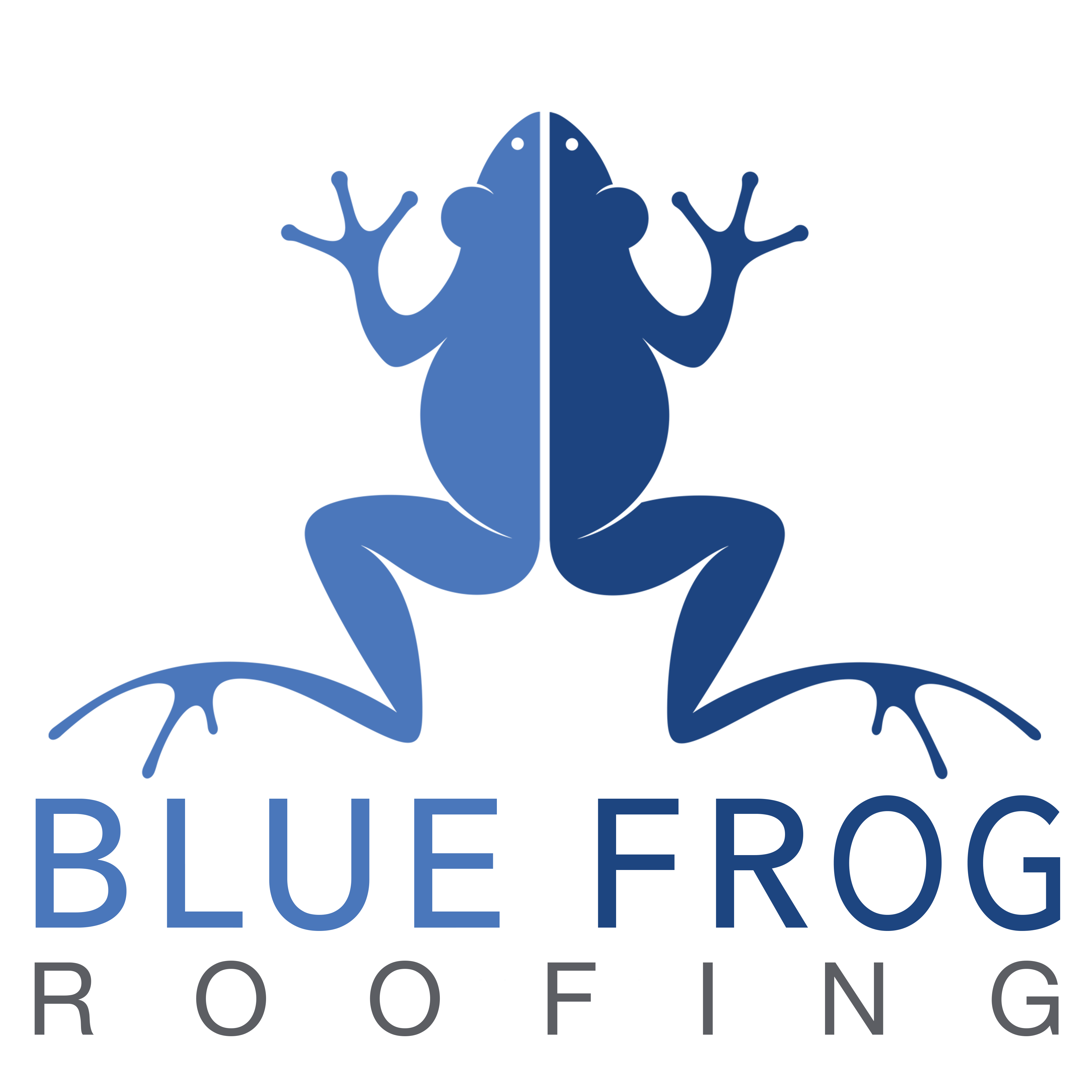 BLUE FROG ROOFING LIMITED logo