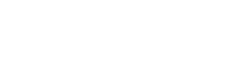 BLUE HEAVEN TECHNOLOGIES L.L.C. logo