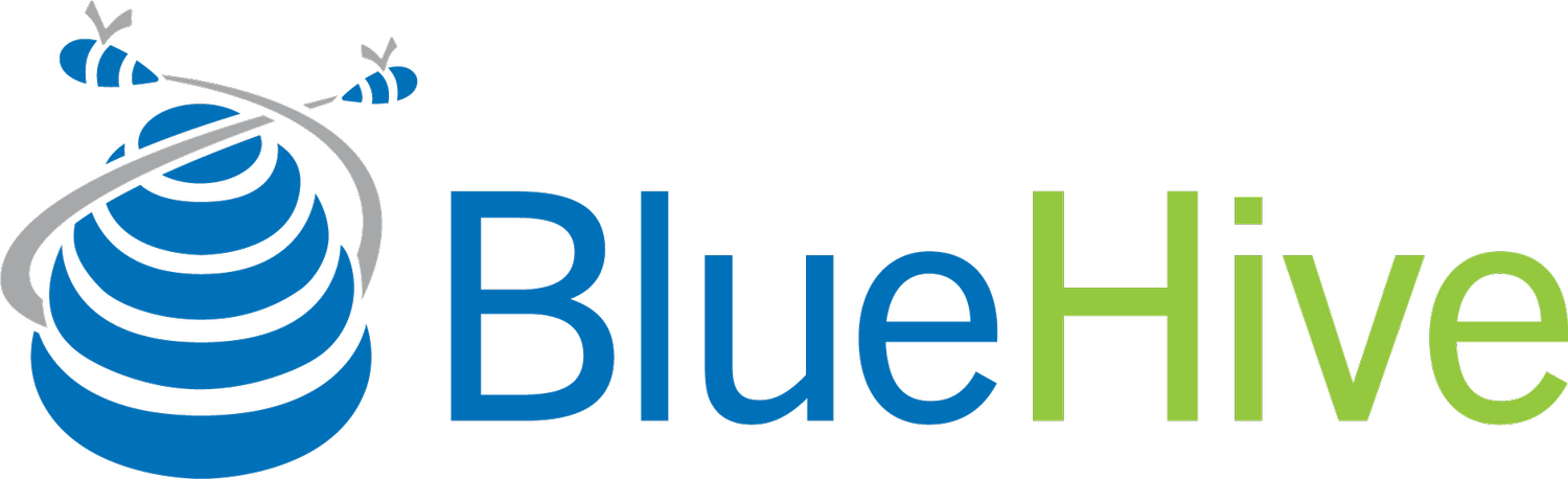 BLUE HIVE INC logo