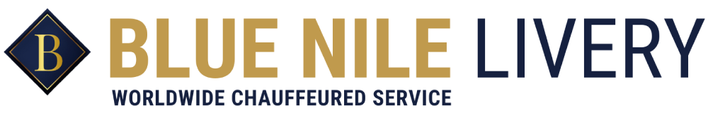 BLUE NILE EXECUTIVE SERVICES INC logo