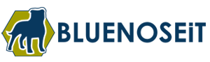 BLUE NOSE IT SOLUTIONS, INC logo