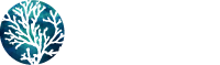 BLUE OCEAN CIVIL CONSULTING logo