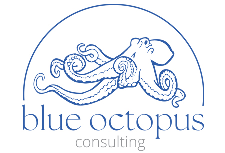 BLUE OCTOPUS CONSULTING LLC logo