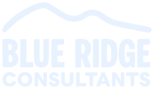 BLUE RIDGE CONSULTANTS LLC logo