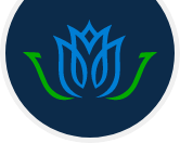 BLUE ROSE CONSULTING GROUP INC logo