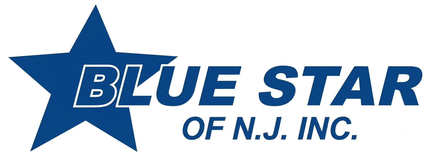 BLUE STAR OF NJ INC. logo