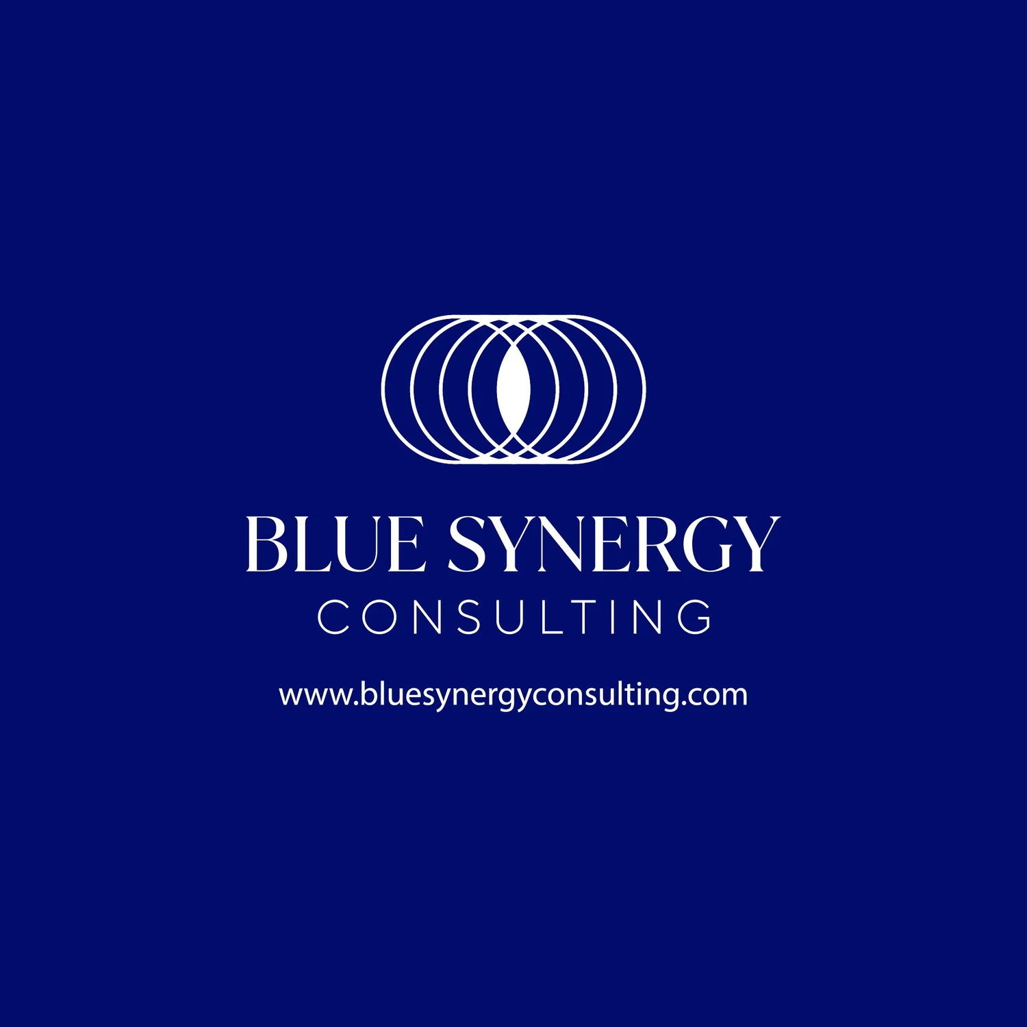 BLUE SYNERGY CONSULTING logo
