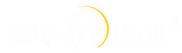 BLUE WOLF ENTERPRISES INC logo