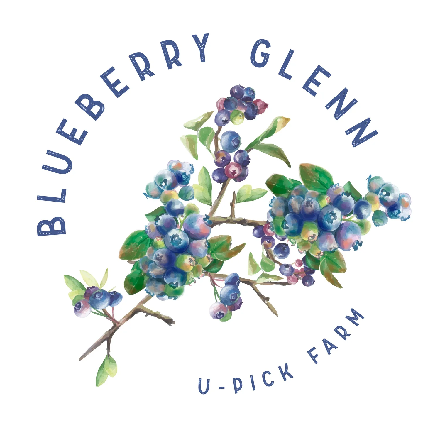 BLUEBERRY GLENN, LLC logo