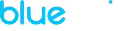 BLUECHIP SYSTEMS LLC logo