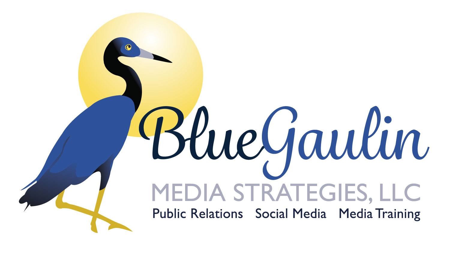 BLUEGAULIN MEDIA STRATEGIES LLC logo