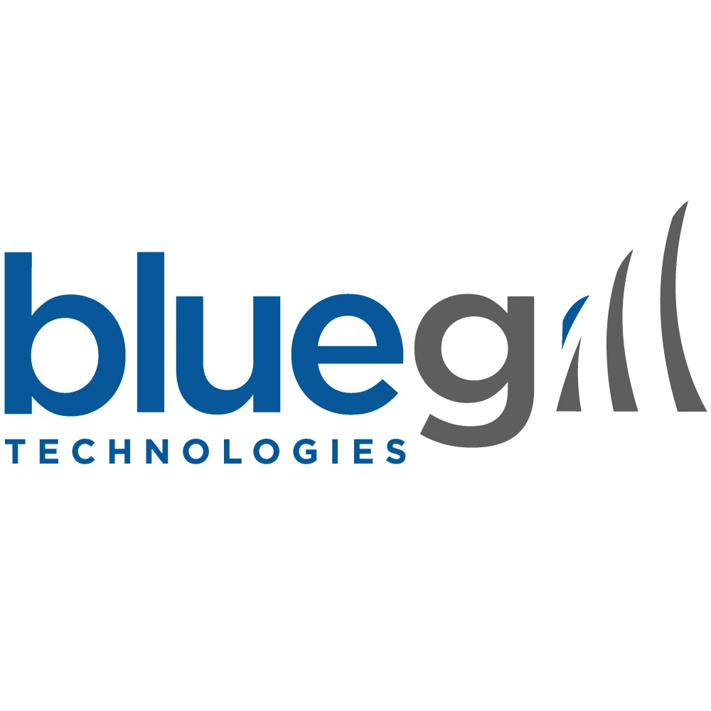 BLUEGILL TECHNOLOGIES LLC logo