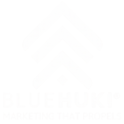 BLUEHUKI GROUP LLC logo