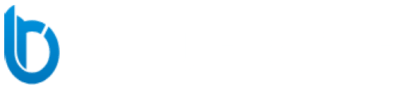 BLUERITE LLC logo