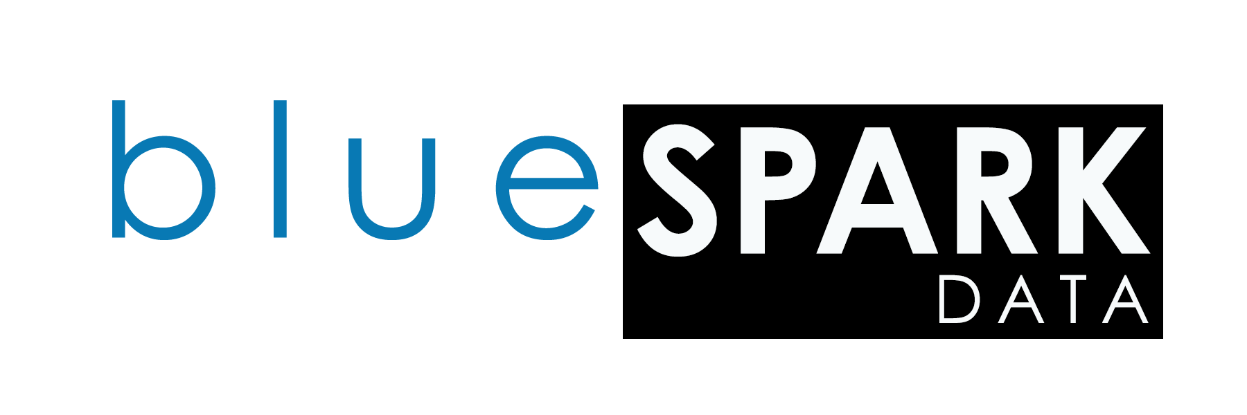 BLUESPARK DATA LLC logo