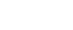 BLUESTAR logo