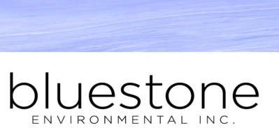 BLUESTONE ENVIRONMENTAL INC logo