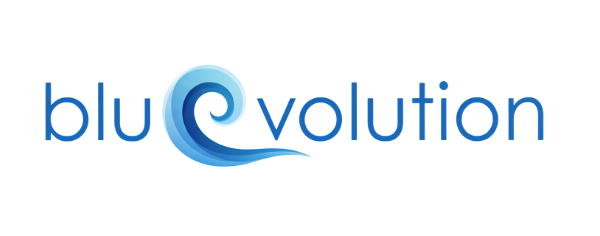 BLUEVOLUTION LLC logo