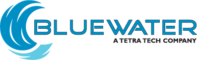 BLUEWATER FEDERAL SOLUTIONS, INC. logo