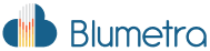 BLUMETRA SOLUTIONS INC logo