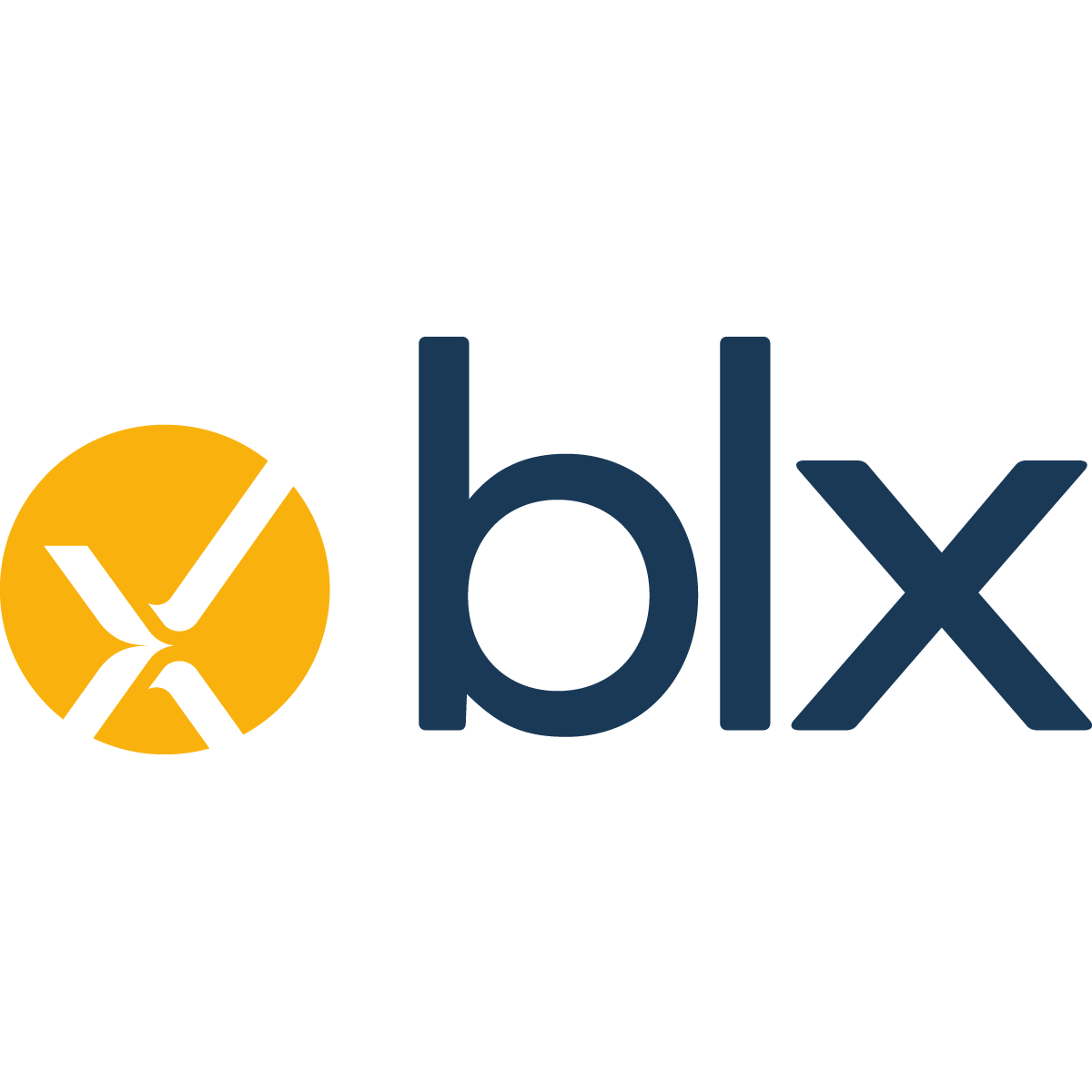 BLX GROUP LLC logo