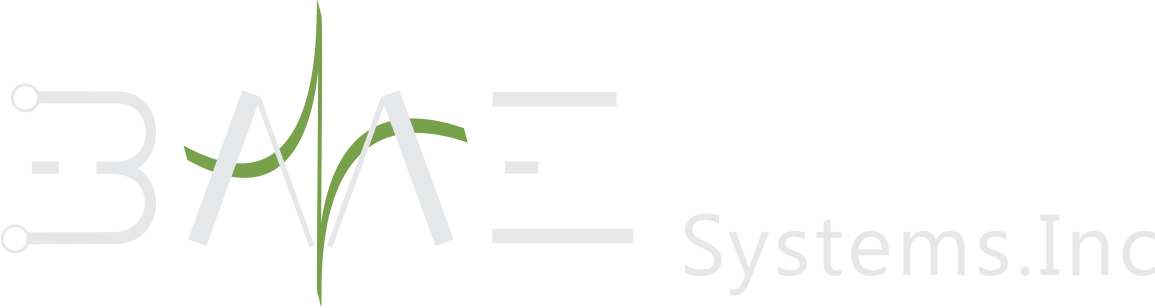 BME SYSTEMS INC logo