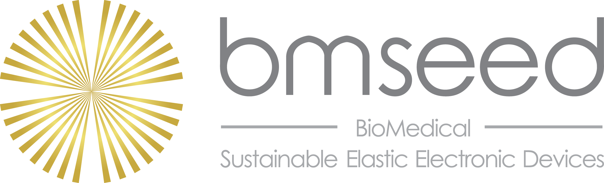 BMSEED LLC logo