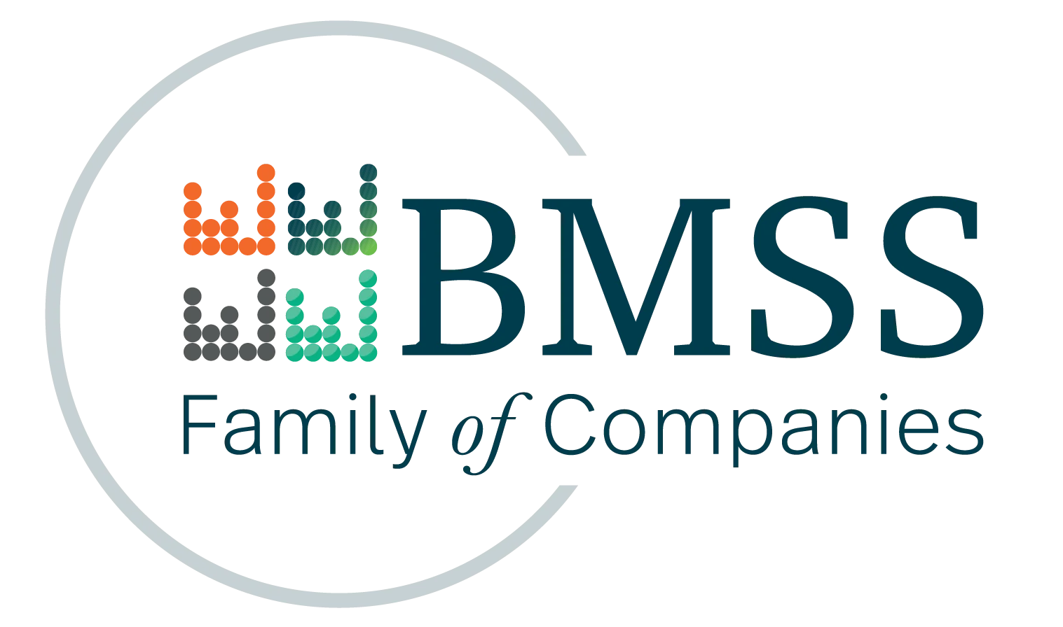BMSS, LLC logo
