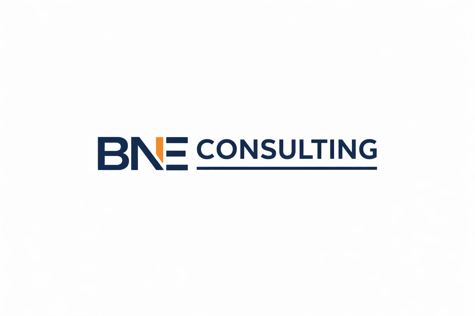 BNE CONSULTING LLC logo