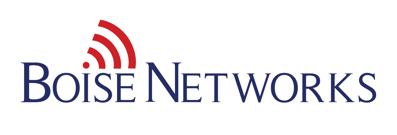 BOISE NETWORKS, CO. logo