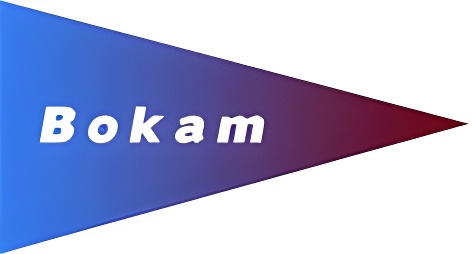 BOKAM ENGINEERING INC logo