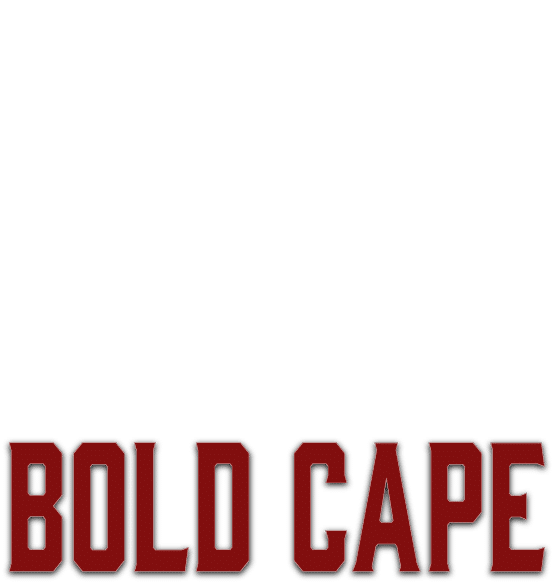 BOLD CAPE INFORMATION TECHNOLOGIES LLC logo