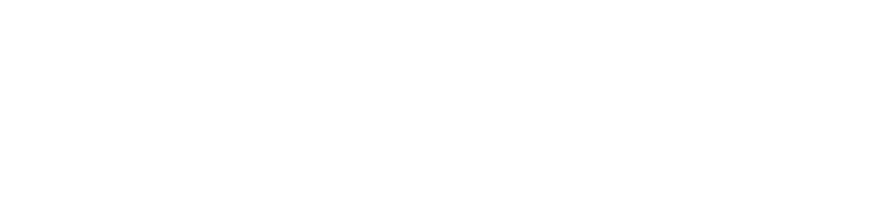 BOLDTREK, LLC logo